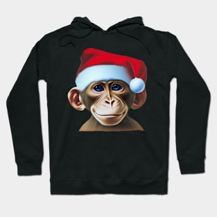 Cute Christmas Monkey Hoodie